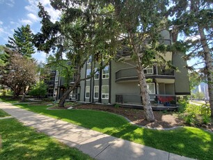 Calgary Pet Friendly Condo Unit For Rent | Crescent Heights | Fully Renovated Pet Friendly Spacious
