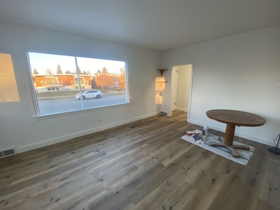 Calgary Pet Friendly Main Floor For Rent | Mount Pleasant | Newly Renovated Cozy Main Floor
