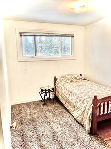 One room is available for rent in Aurora