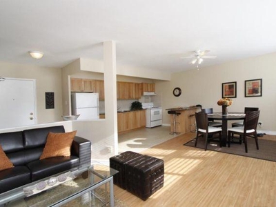 1 Bedroom Apartment Unit Hamilton ON For Rent At 1275