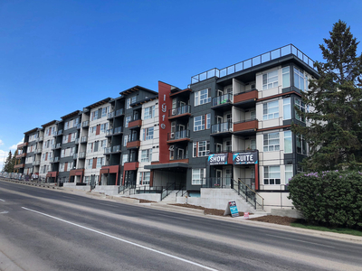 Calgary Pet Friendly Apartment For Rent | Richmond Knob Hill | LYFE RESIDENCES: Rooftop Patio, Lounge