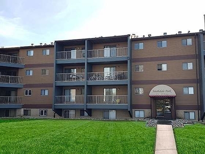 Edmonton Pet Friendly Apartment For Rent | Mill Woods | Edmonton Apartments for rent