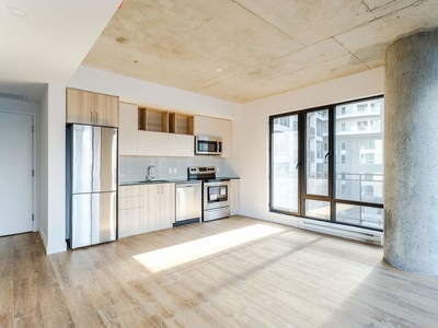 Montréal Pet Friendly Apartment For Rent | A 25 floor residential unit