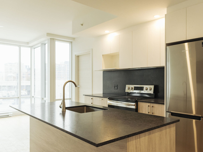 Montréal Pet Friendly Apartment For Rent | Luxurious high rise apartments located