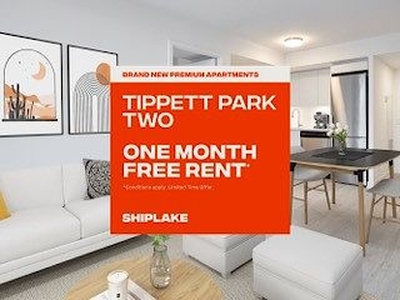 Toronto Pet Friendly Apartment For Rent | Brand New Rentals near Yorkdale