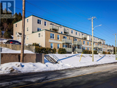 91 Larkhall Street Unit#B220 St. John's, Newfoundland & Labrador