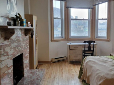 1 MONTH SUMMER SUBLET (2 Bedrooms available Downtown, McGill)