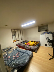 1 bedroom basement