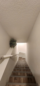 Calgary Basement For Rent | Carrington | Cozy 1 bedroom legal basement