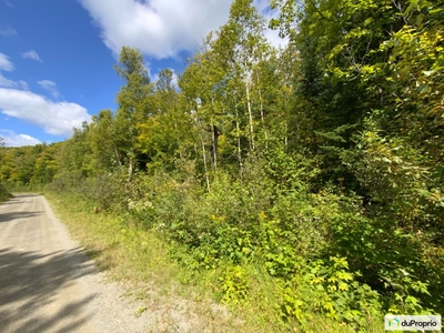 Recreation lot for sale St-Pierre-De-Lamy