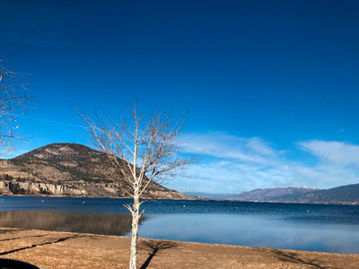 Apartment for Sale in Penticton BC, Near Waterfront ,Furnished