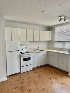Calgary Pet Friendly Apartment For Rent | Beltline | 1 bedroom apartment just of