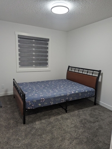 Calgary Room For Rent For Rent | Seton | Cozy 1 Bedroom