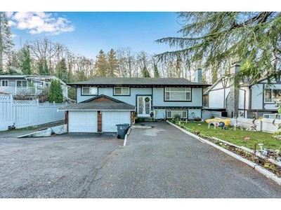 House For Sale In Newton, Surrey, British Columbia