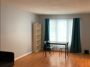 3-bedroom Furnished Apartment for Rent - September 1