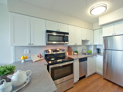 Beautiful 1 Bed Apartments for Rent in Whitby! RENOVATED!