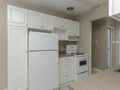 1 Bedroom Apartment Unit Winnipeg MB For Rent At 1247