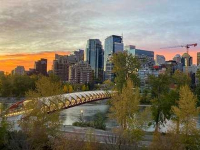 503, 916 Memorial Drive NW, Calgary, Alberta