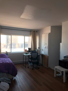 1 1/2 apartment in the McGill ghetto (5 mins walk from McGill)