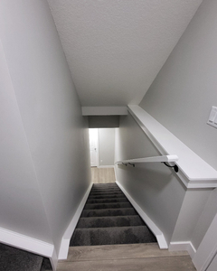 Brand new 1 bed/1 bath basement suite for rent