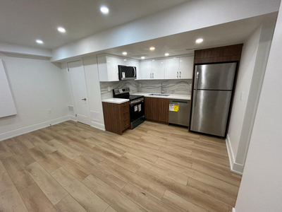 New reno, downtown, legal, lower level rental w. high-end finish