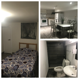 Newly renovated rooms