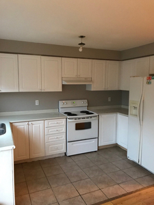 Not a basement! Looking for Female roommate sharing