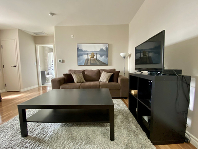 One and two bedroom fully furnished apartments