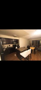 One bedroom + with own washroom in a 2 bed 2 bath condo