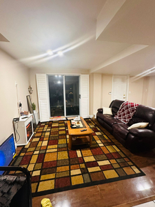 ROOM FOR RENT IN LUXURIOUS BASEMENT APARTMENT