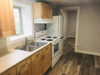 DOWNTOWN FURNISHED 1 bdrm suite. Inc util, wifi, laundry!