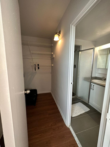 Looking for a Roommate:Master Room in Midtown Location Available