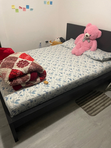 Room for rent in two bedroom basement girls sharing