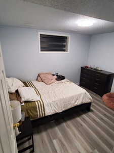 2 bedroom basement
