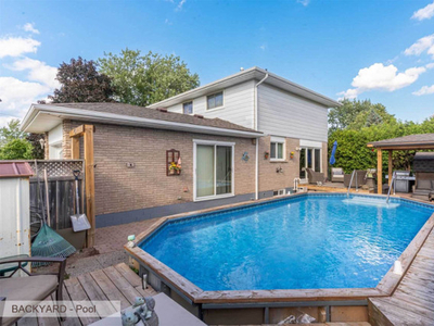 4-5 Bedroom House with Swimming Pool in Hamilton