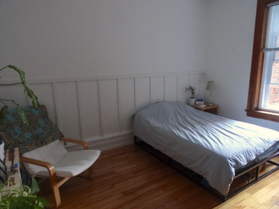 Beautiful room in a shared 5 1/2 (H4A 2R1) - May 1st (flexible)