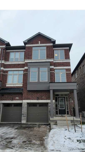 Brand New Bright Townhome Ground floor basement - for Rent Now!