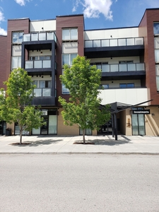 Calgary Condo Unit For Rent | Montgomery | Top Floor corner unit with