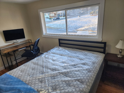 Halifax Rooms for Rent