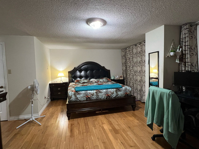Master room available for a girl.