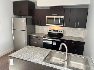 Newly Renovated apartment in sharing base $450