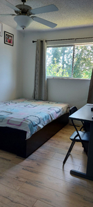 Private room in 113B Ave, Surrey + Meals + Free street parking