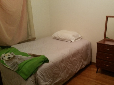 Room / Bed for rent