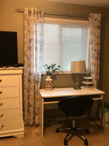Roommate wanted, 1 bed room available first week of March, 2024