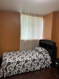 Rooms & Basement for rent March