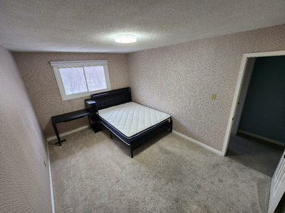Upper level spacious private bedroom (single female only)