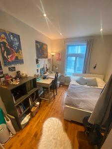 SUMMER SUBLET Private room in a 3-bedroom apartment