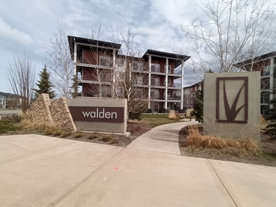 Calgary Condo Unit For Rent | Walden | Bright and spacious 2 bed
