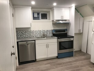 Edmonton Pet Friendly Basement For Rent | Holyrood | Fully Updtd Bright and Cozy