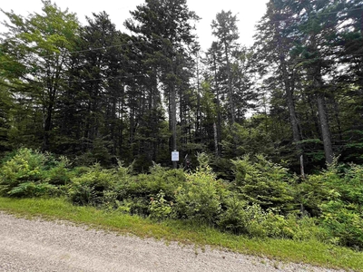 72858 square feet Land in Forties, Nova Scotia